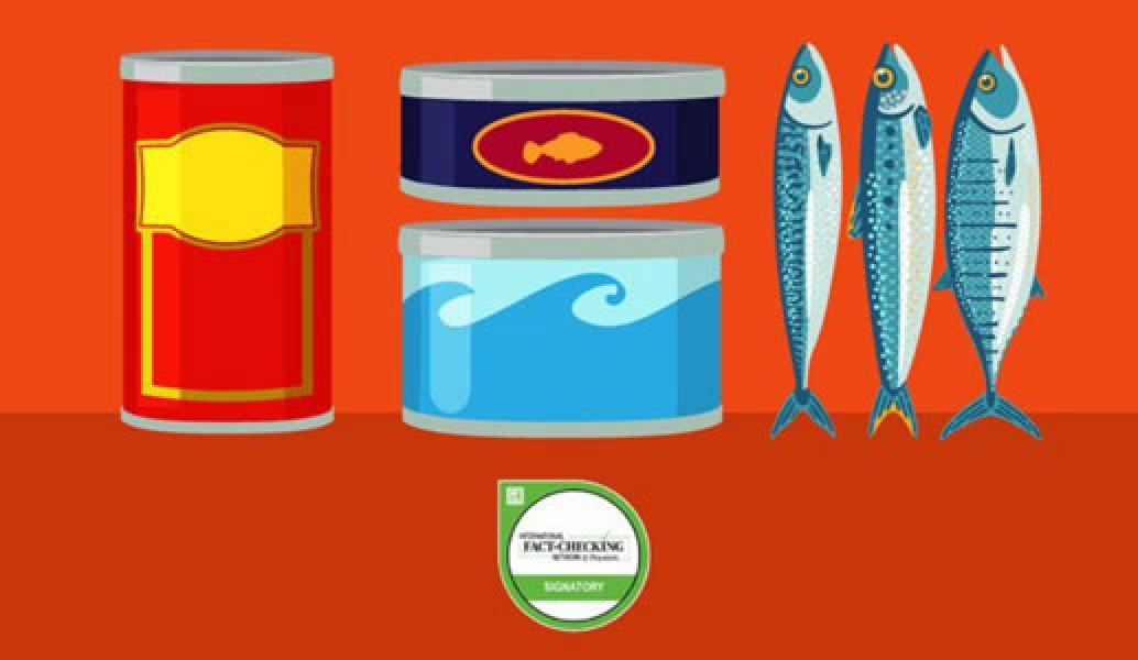 Cina Pemasok 65 Persen Ikan Makarel Impor ke Indonesia