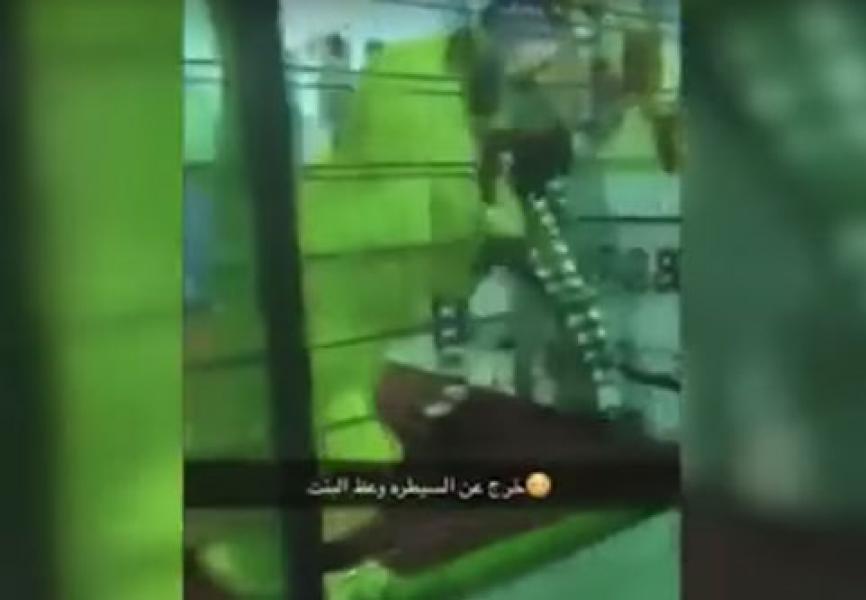 Diserang Singa, Bocah Perempuan di Arab Saudi Selamat