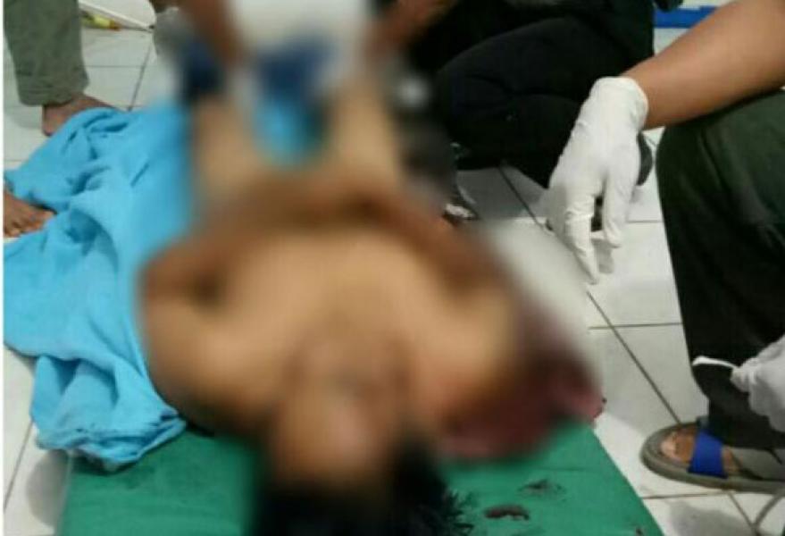 Konflik Harimau Berlanjut Di Inhil, Korbannya Adik Anggota DPRD Pelalawan
