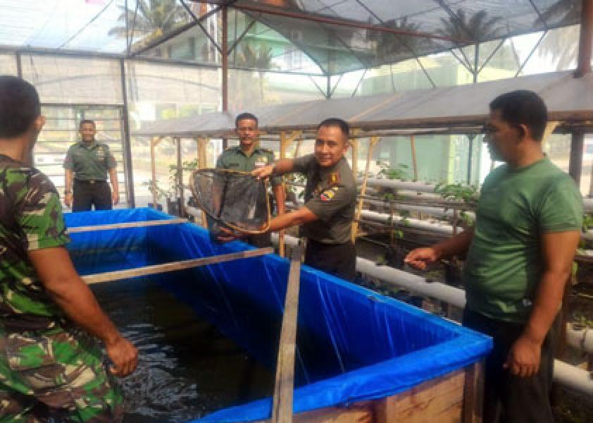 Panen Lele Perdana Hasil Budidaya Anggota Kodim 0313/Kpr