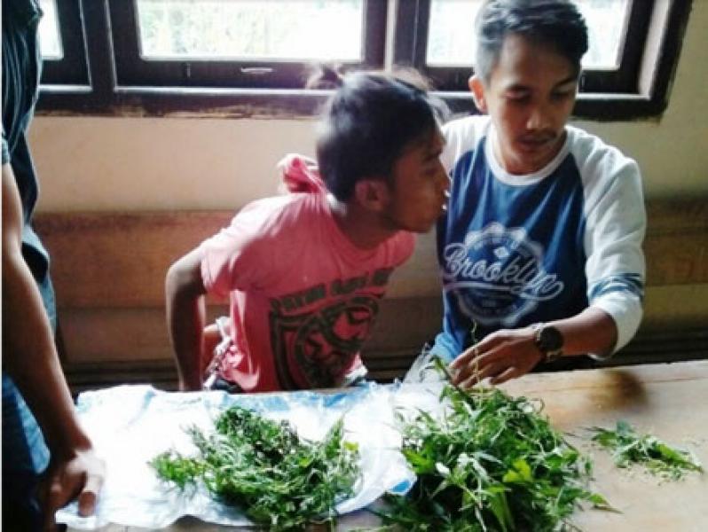 Resahkan Warga, Petani Ganja Dibekuk saat Mengedarkan di Kafe