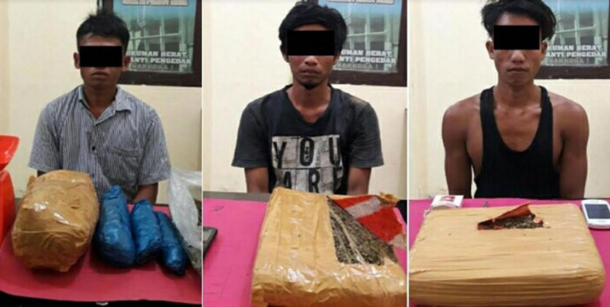 Satres Narkoba Polres Rohul Gagalkan Peredaran 3,5 Kg Daun Ganja Kering