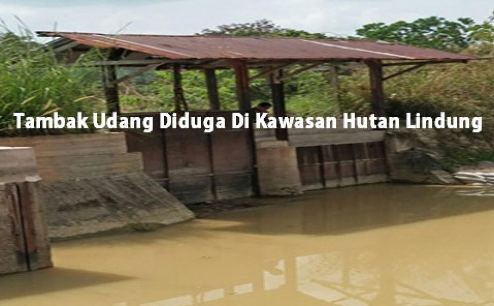 UPT KPH Tahura Akan Surati PKS Untuk Menolak TBS Dari Kawasan Hutan