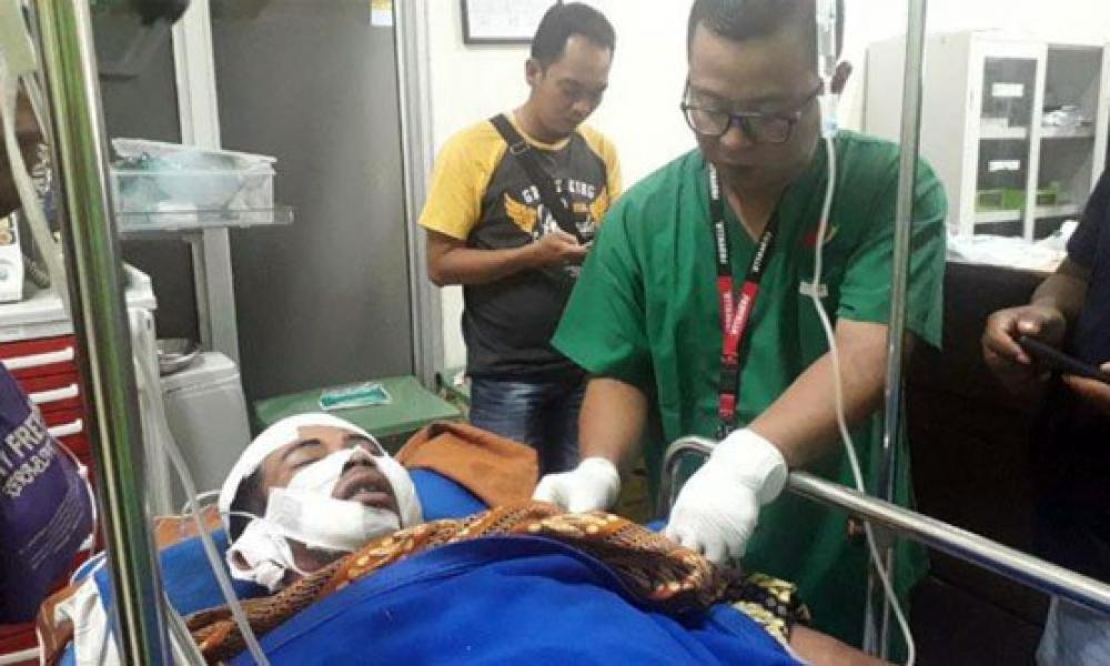 Harimau Sumatera Kembali Serang Warga Inhil