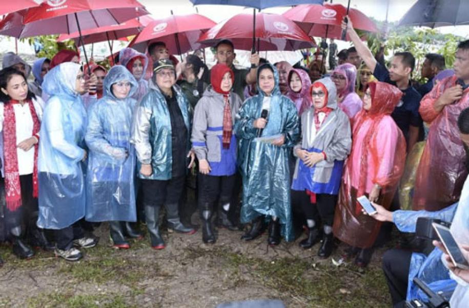 Ketum Dharma Pertiwi Dampingi Ibu Negara Tanam Mangrove di Pantai Labuan