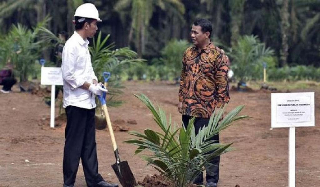 Komisi Uni Eropa Hapus Sawit untuk Biofuel