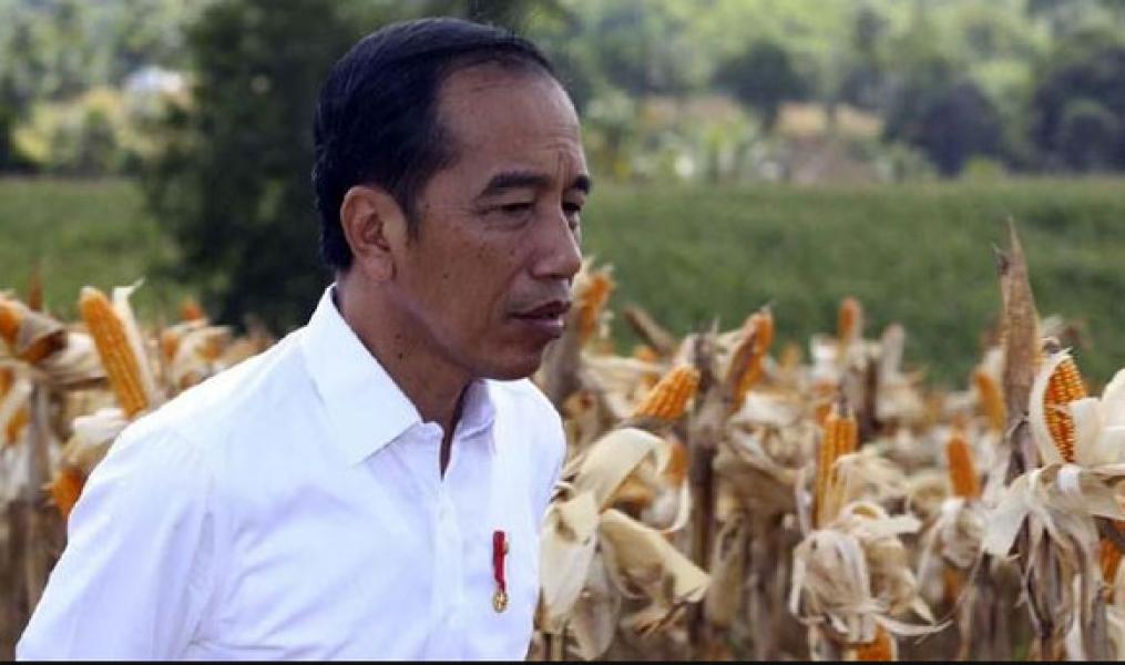 Survei PolMark: Elektabilitas 40 Persen, Jokowi Belum Aman