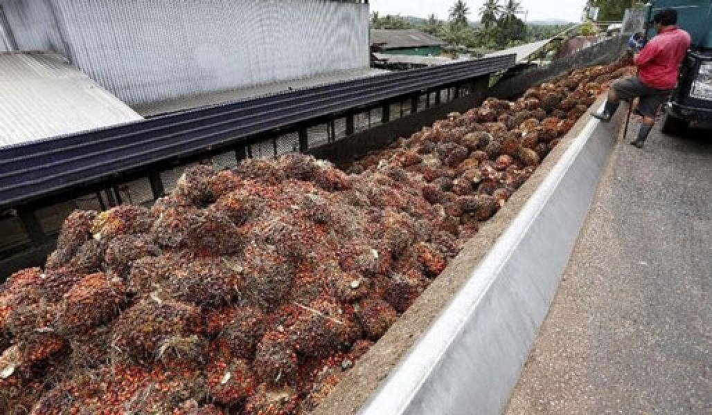 Uni Eropa Sebut Ancaman Pemboikotan RI Rugikan Semua Pihak