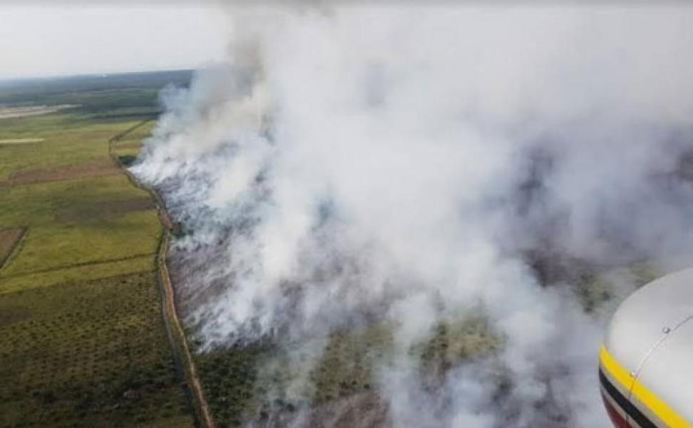 BMKG Deteksi 80 Hotspot di Sumatera, 36 Diantaranya di Riau