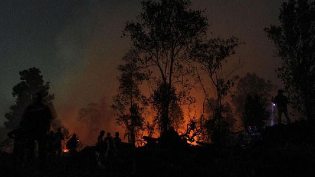DLHK Imbau Masyarakat Buka Lahan Tanpa Bakar