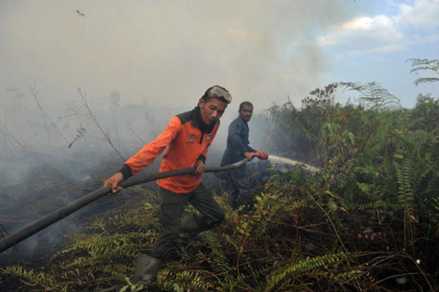 DLHK Riau Siapkan 15 Regu untuk Padamkan Karhutla di Berbagai Daerah