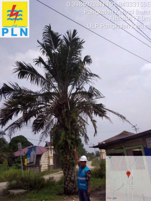 Jelang Ramadhan, PLN Pangkalan Kerinci Jamin Pasokan Listrik Aman 