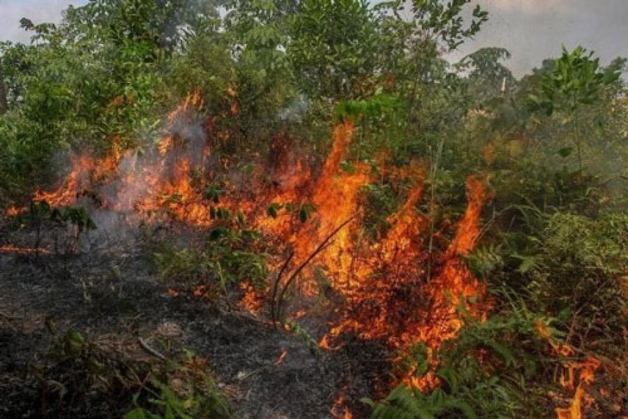 Karhutla, Per 31 Maret Terdeteksi 28 Titik Panas di Riau