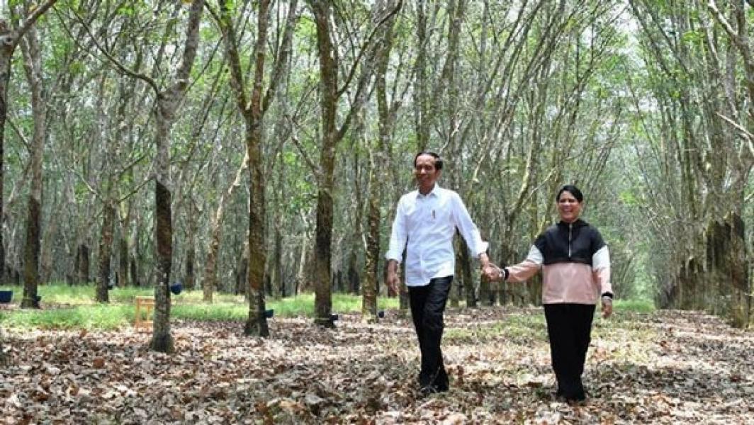 Presiden Jokowi Heran Ada Durian Mahal, Rasa Tak Enak