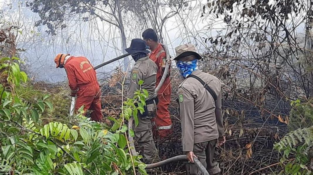 Satgas Karhutla Riau Tetap Fokus Lakukan Pemadaman