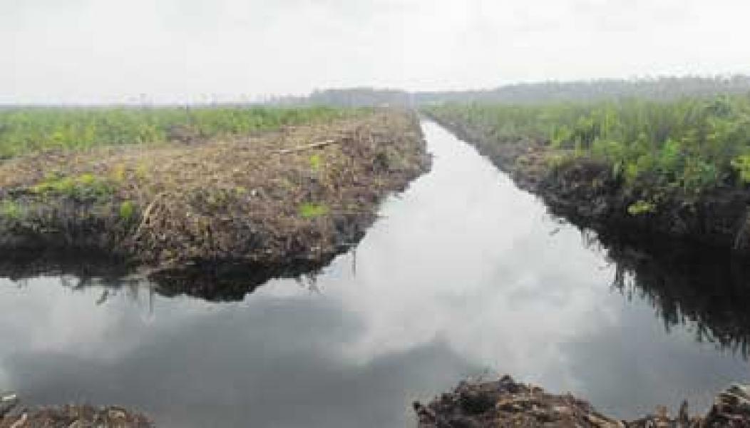Atasi Banjir, Kades Libatkan Pengusaha Gali 5 km Kanal