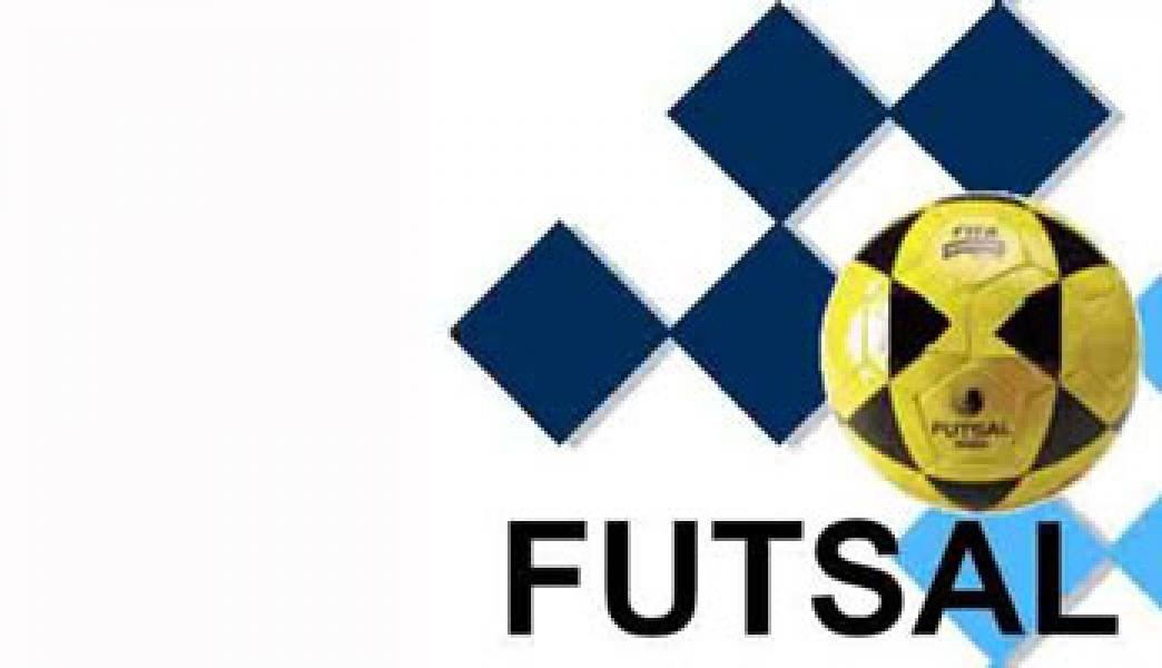 Disparpora Meranti Juara Afifa Futsal Cup II