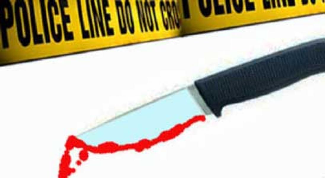 Ini Analisis Polisi soal Pembunuhan Adik, Kakak, & Pembantu