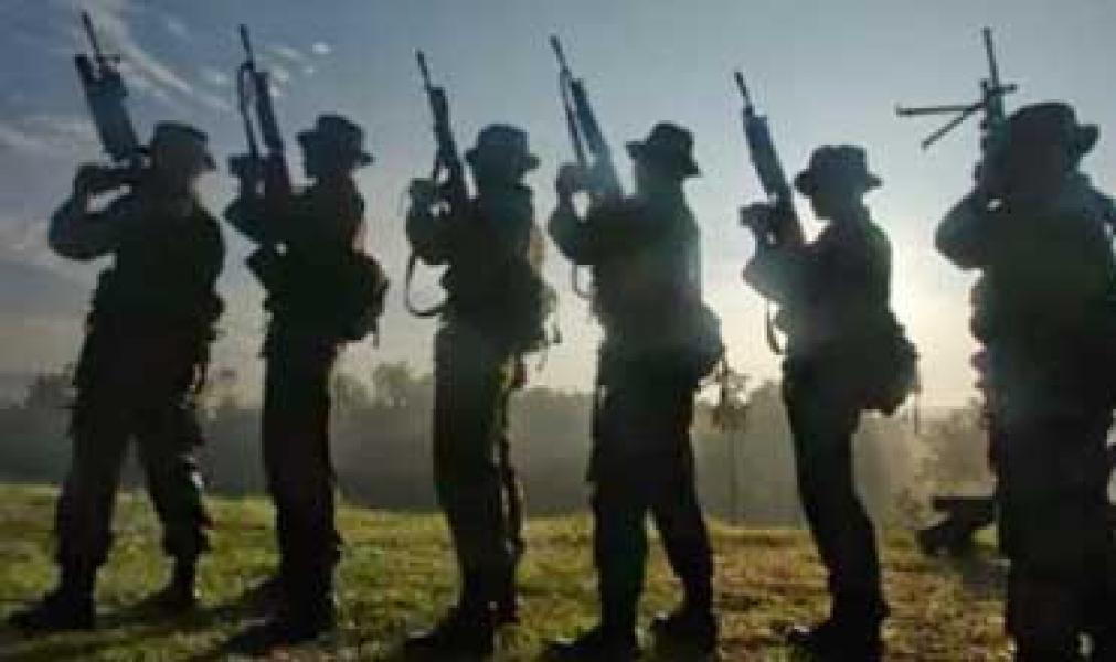 Kelompok Sipil Bersenjata Blokir Perbatasan RI-PNG