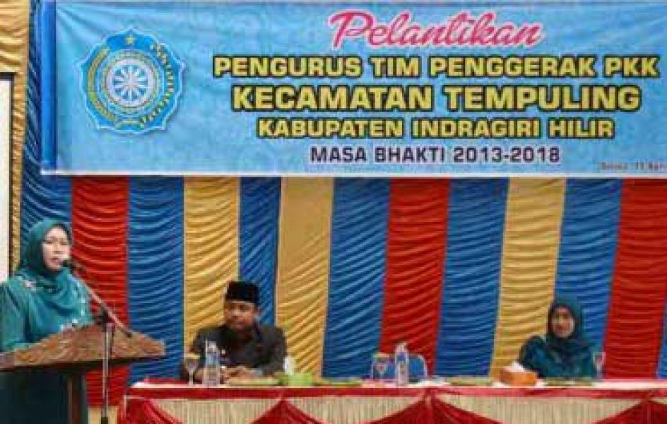 Ketua TP PKK Inhil Lantik TP PKK Tempuling