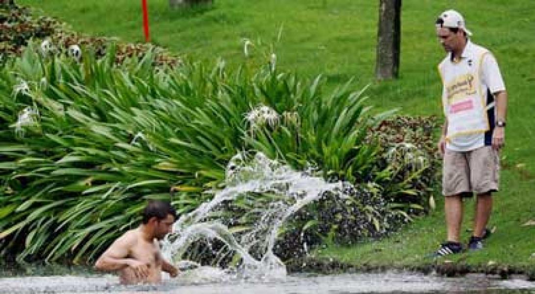Pegolf Ini Diserbu Kawanan Lebah