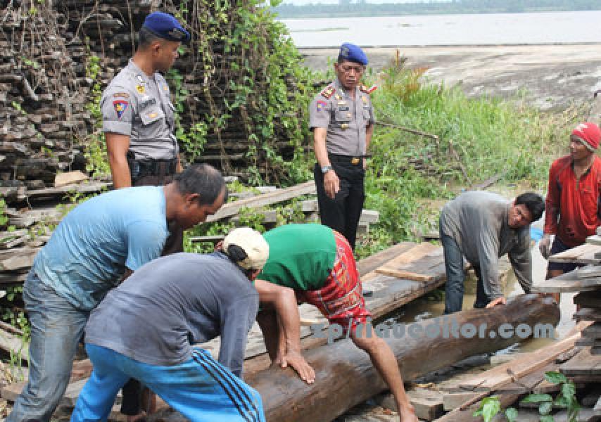 Polisi Amankan Puluhan Kubik Kayu Tak Bertuan