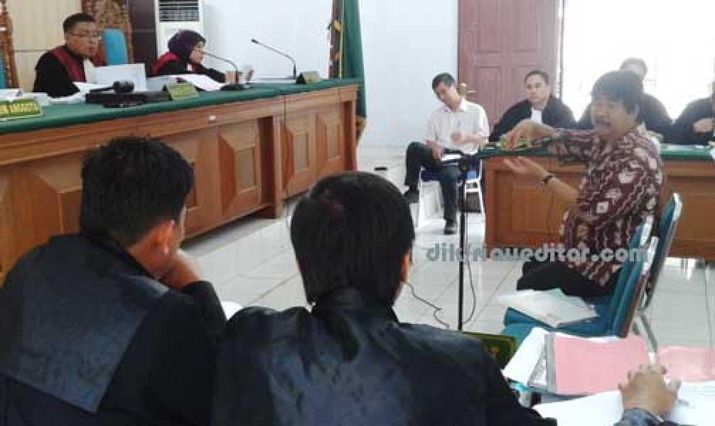 Tim Ahli Sebut Pembakaran Lahan PT Adei Telah Terencana