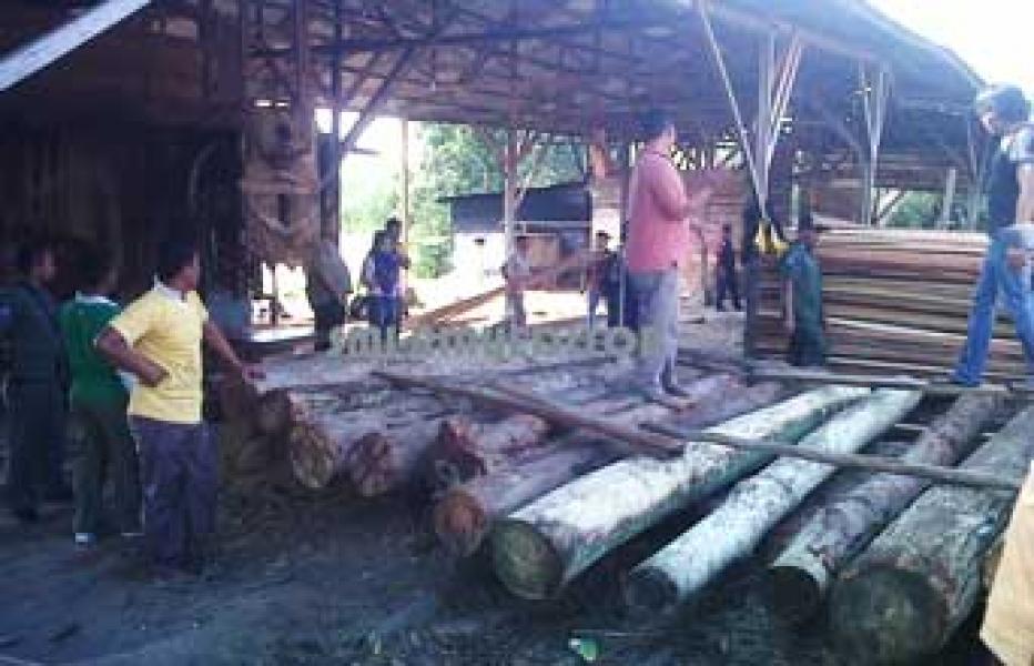 Tim Illog Kampar Grebek Sawmil yang Masih Beroperasi