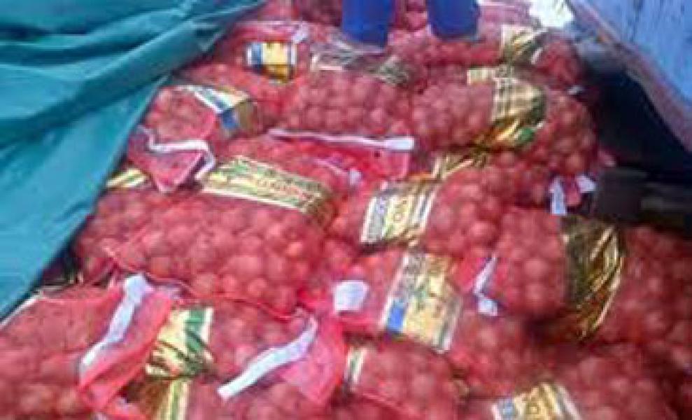 BC Bengkalis Amankan 40 Ton Bawang Merah Ilegal