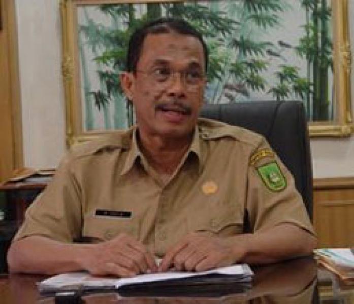 Bappeda Riau Sebut 25 KM Jalan Tol Masuk Kawasan Hutan