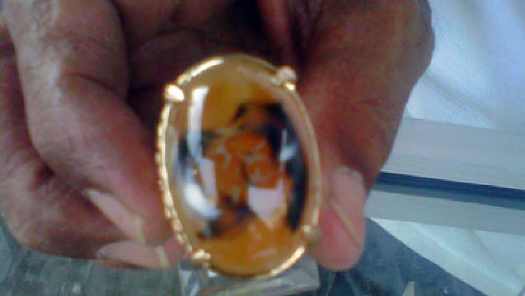 Batu Akik Motif Sepasang Lumba-lumba Ditemukan di Rengat