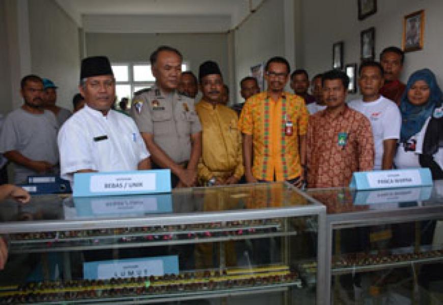 Batu Akik Tunggang Maniok Masuk Museum Belanda   