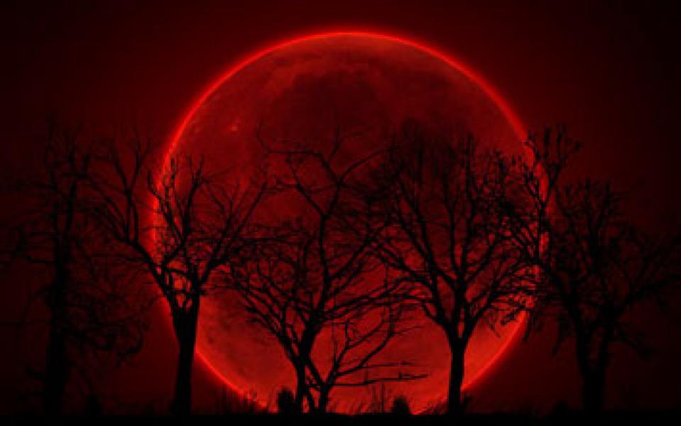 Gerhana Bulan Total Akan Hiasi Langit Indonesia Malam Ini