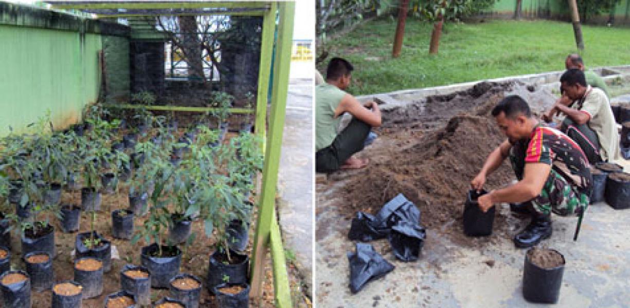 Koramil 0303 Siapkan 10 ribu Polybag Tanaman Palawija
