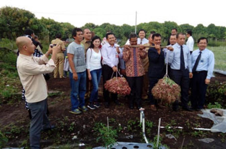 Pengamat: Kampar Potensial Jadi Sentra Bawang