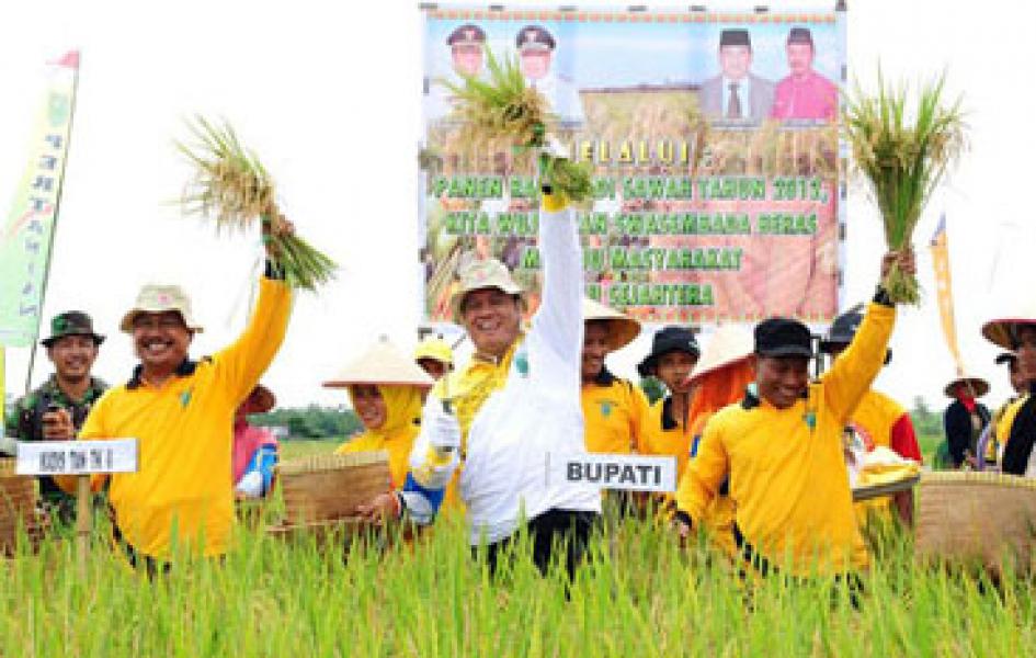 Realisasi Tanaman Padi Sawah Inhu Raih Peringkat 10 Nasional