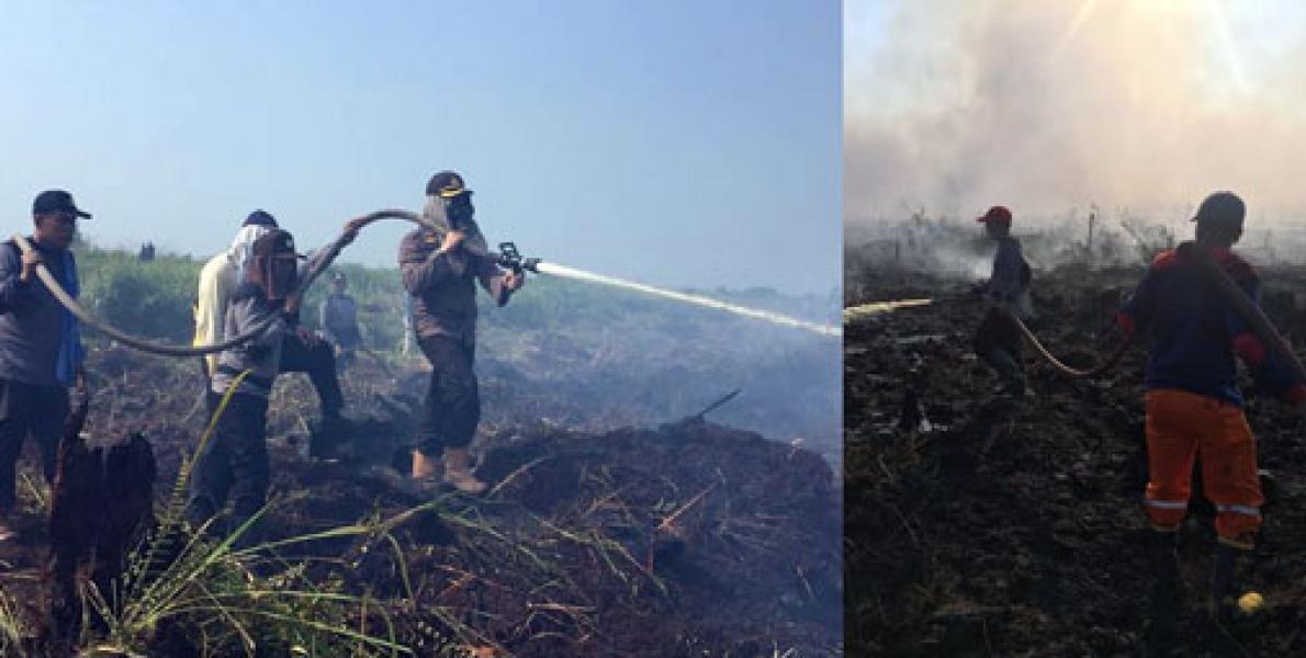 7,5 Hektare Lahan di Bangko Ludes Terbakar, Kapolres Berjibaku Padamkan Api