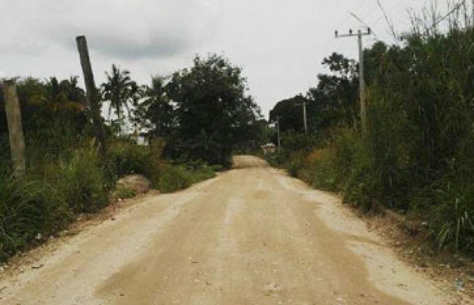 APM-LB Sebut PT Arara Abadi Ingkar Janji Bangun Jalan Lintas Barat
