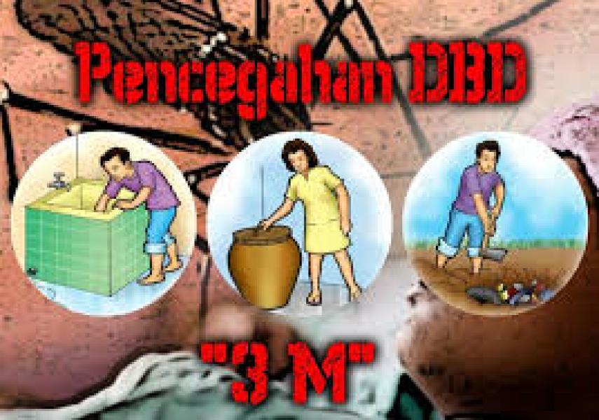 Cegah DBD, KadisKes Himbau Masyarakat Lakukan 3M