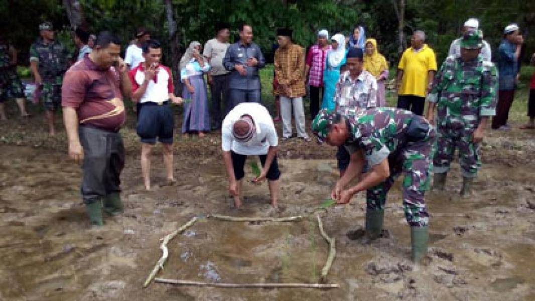 Danramil 02 Rambah dan Camat Rambah Hadiri Tradisi Makan Ayam Tiga Warna