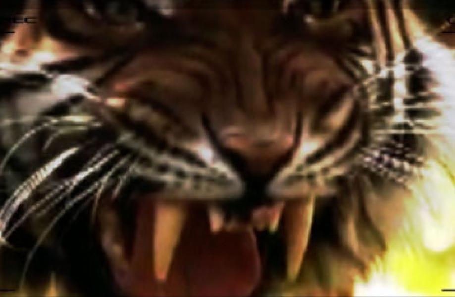 Film `Harimau Sumatra Terakhir` Pukau Dunia