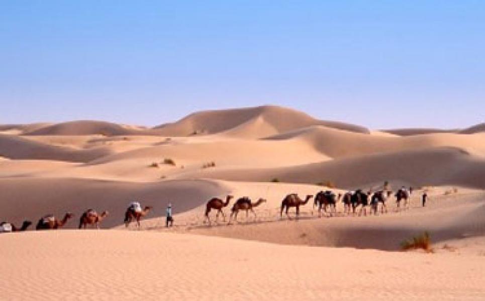 Gubernur yang Miskin