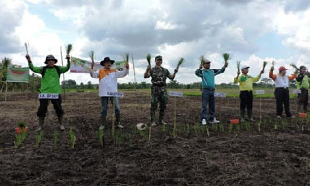 Kodim 0314/Inhil Tanam Padi Serentak di Desa Sungai Dusun