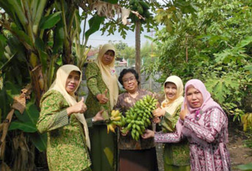SMPN 7 Pekanbaru Lakukan Panen Buah di Kebun Sekolah