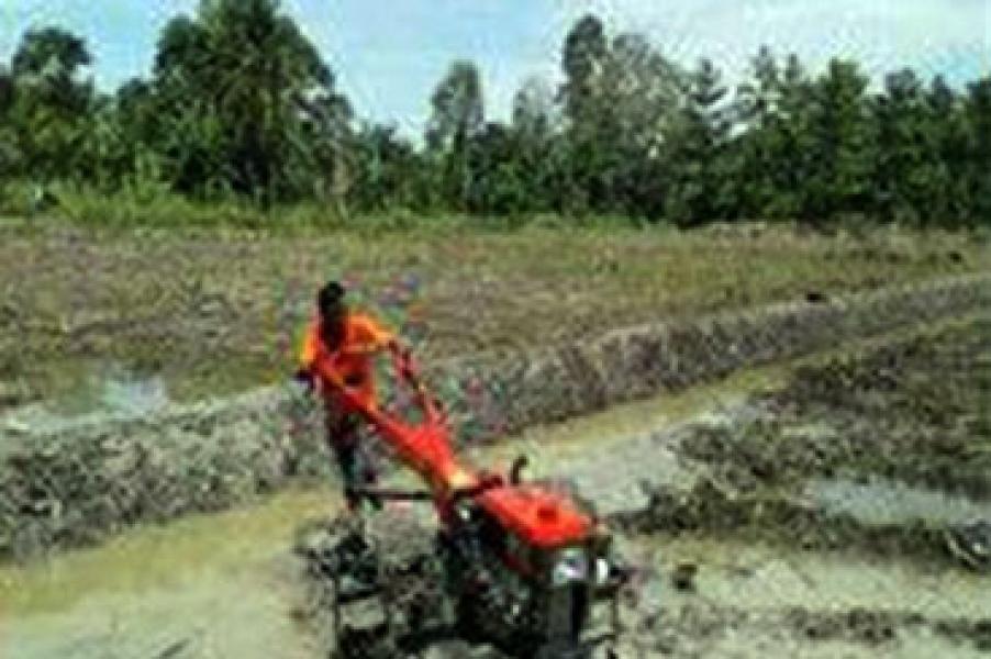 Zeni TNI AD Program Cetak Sawah di Sembilan Provinsi