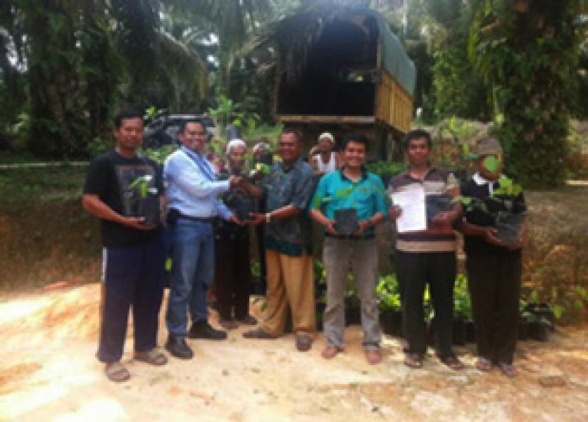  700 Batang Bibit Lada Bakal Tingkatkan Ekonomi Warga Gabung Makmur