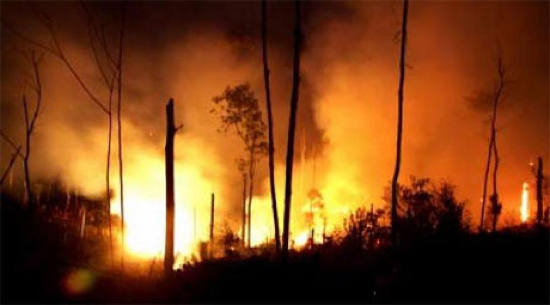 BMKG Deteksi 20 Titik Panas di Sumatera, Riau Lebih Waspada!