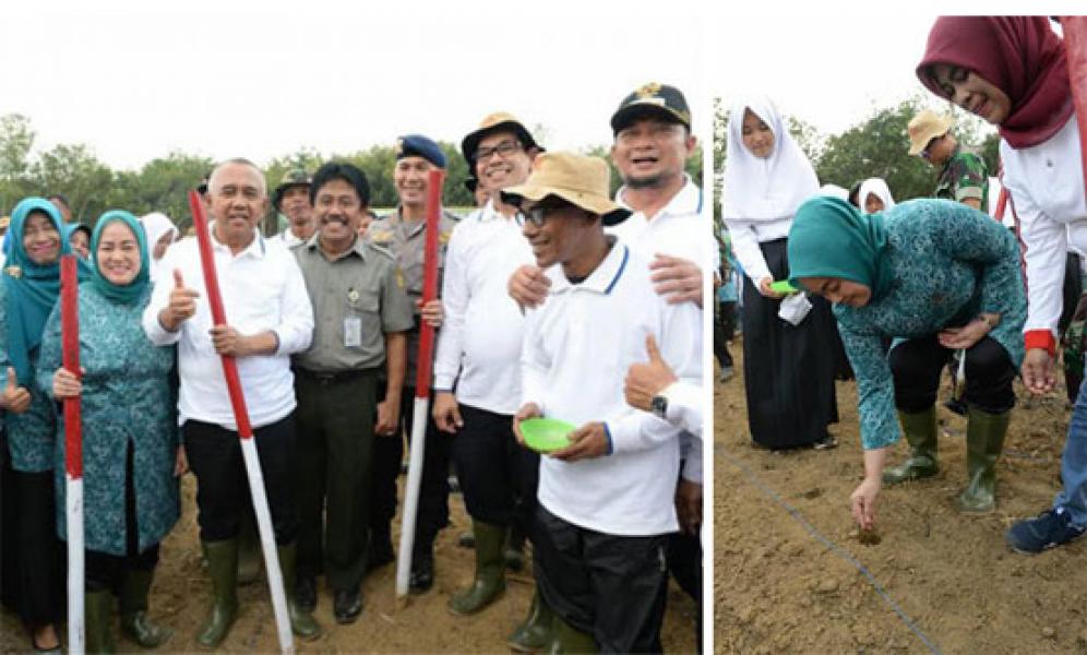 Gubri: Mari Wujudkan Riau Jadi Pengekspor Jagung