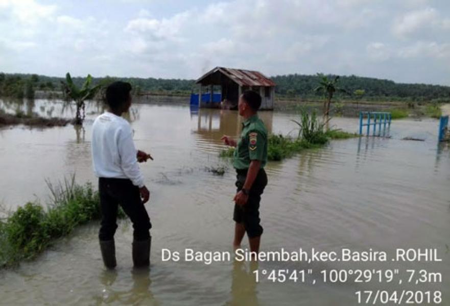 60 Hektare Kedelai dan 10 Hektare Sayur Hancur Diterjang Banjir