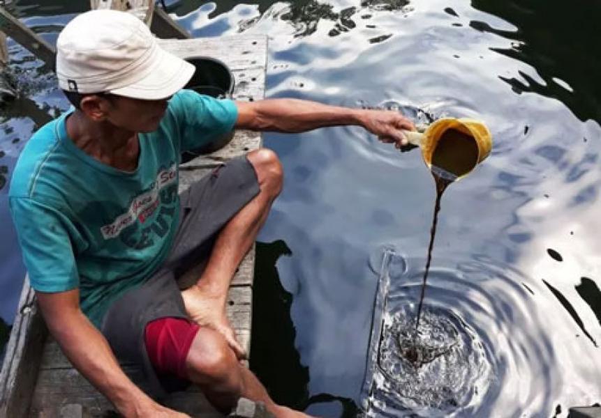 Dari Citra Satelit, Tumpahan Minyak di Teluk Balikpapan Meluas hingga 7.000 Hektare